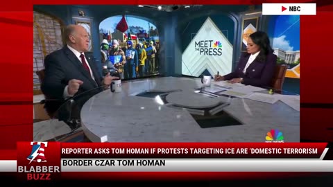 Reporter Asks Tom Homan If Protests Targeting ICE Are ‘Domestic Terrorism