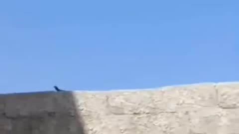 Intercepting an Iranian drone in the skies over Daraa in southern Syria