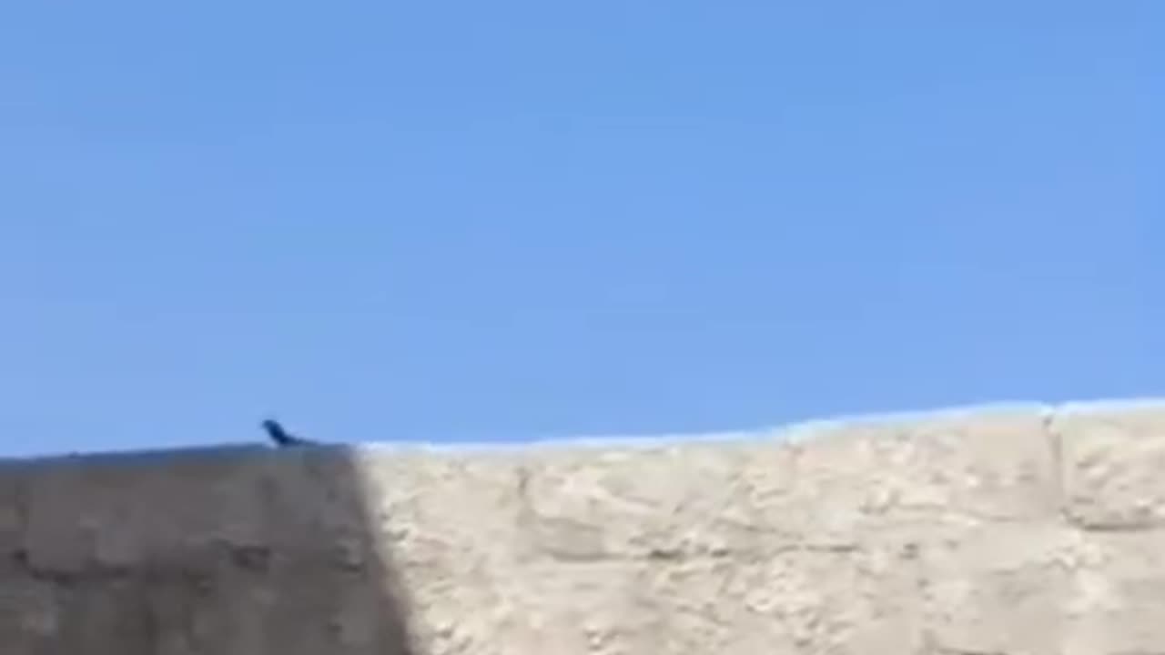 Intercepting an Iranian drone in the skies over Daraa in southern Syria