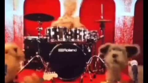 My Dog At 2AM