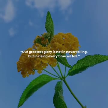 Our greatest glory is not in never falling, but in rising every time we fall.