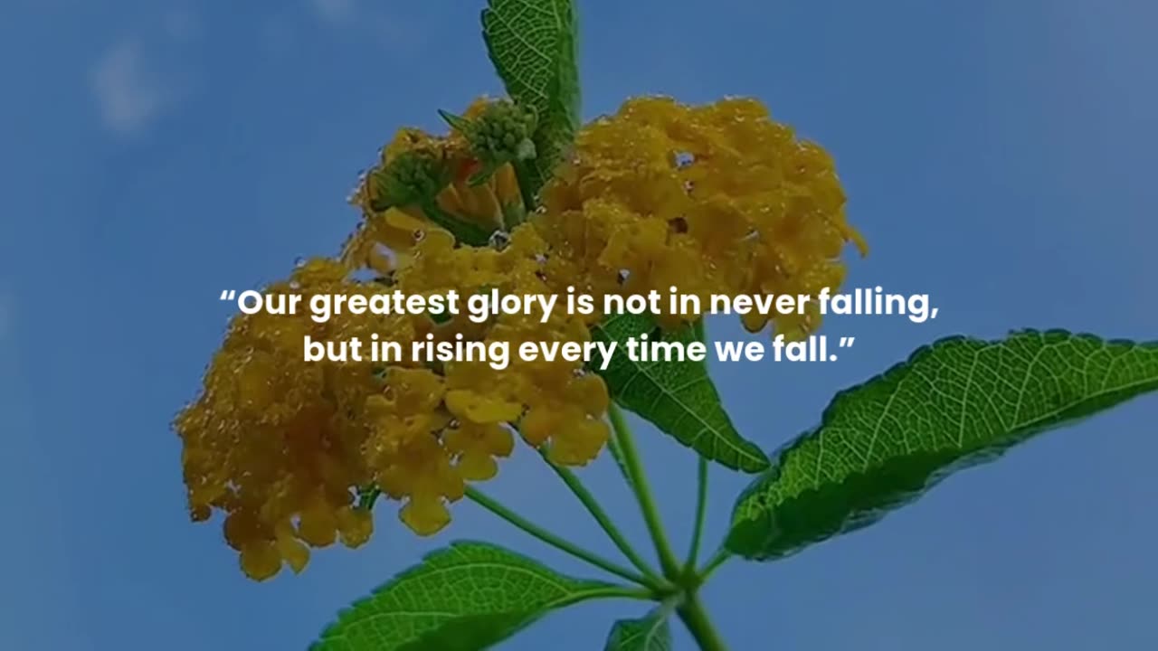 Our greatest glory is not in never falling, but in rising every time we fall.