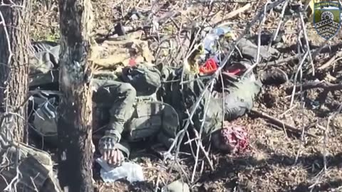 Война в Украине часть 447