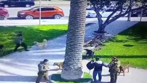 Hombre atacó con cuchillo a otro a plena luz del día en Ovalle