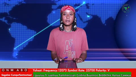 Oduu Ganama ONM-ABO Adoolessa 17-2025 itti dhiyaadhaa!
