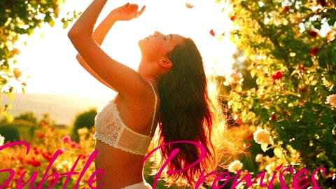 POP MUSIC. Song Subtle Promises.