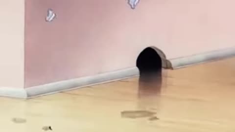 Tom