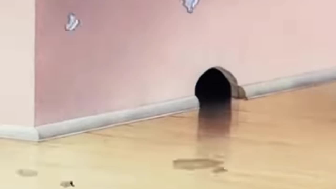 Tom