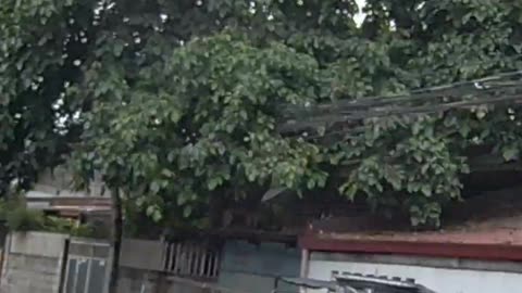 G. Del Pilar Street corner Magsaysay Street in Parang, Marikina City, Philippines