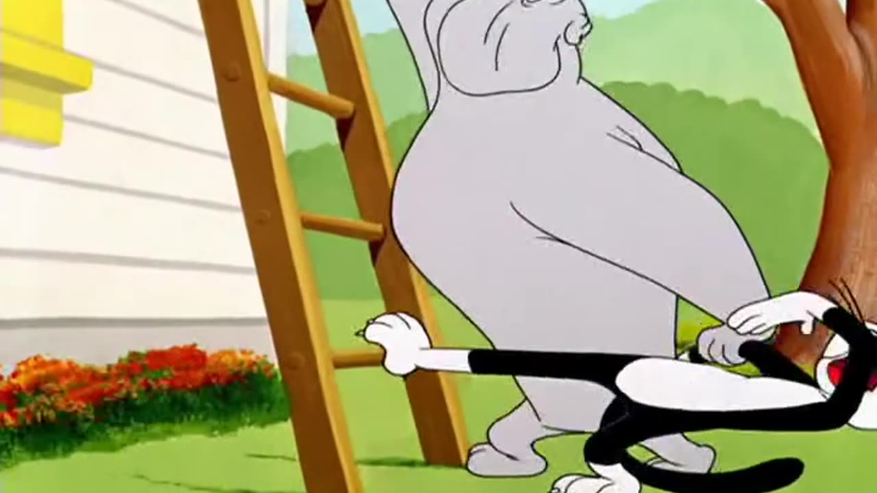 It's Hummer Time (1950) -