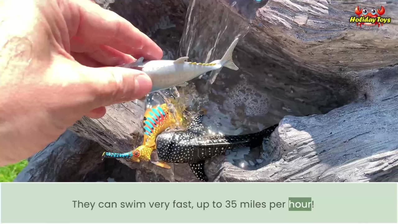 Cleaning the Big Red Octopus in Four Water Pools to Make it Really Clean