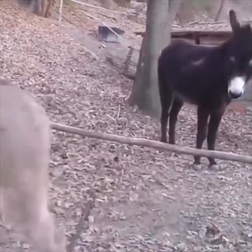 Work smarter, not harder.. 😅