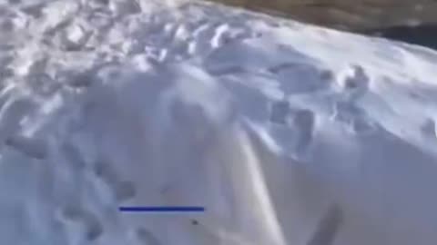 At Least Ten Shots Fired as Alex Pretti Was Shot