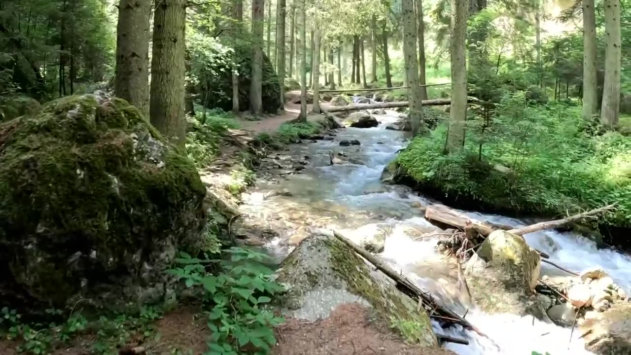 Pentru mine a trăi este HRISTOS, și a muri este un câștig