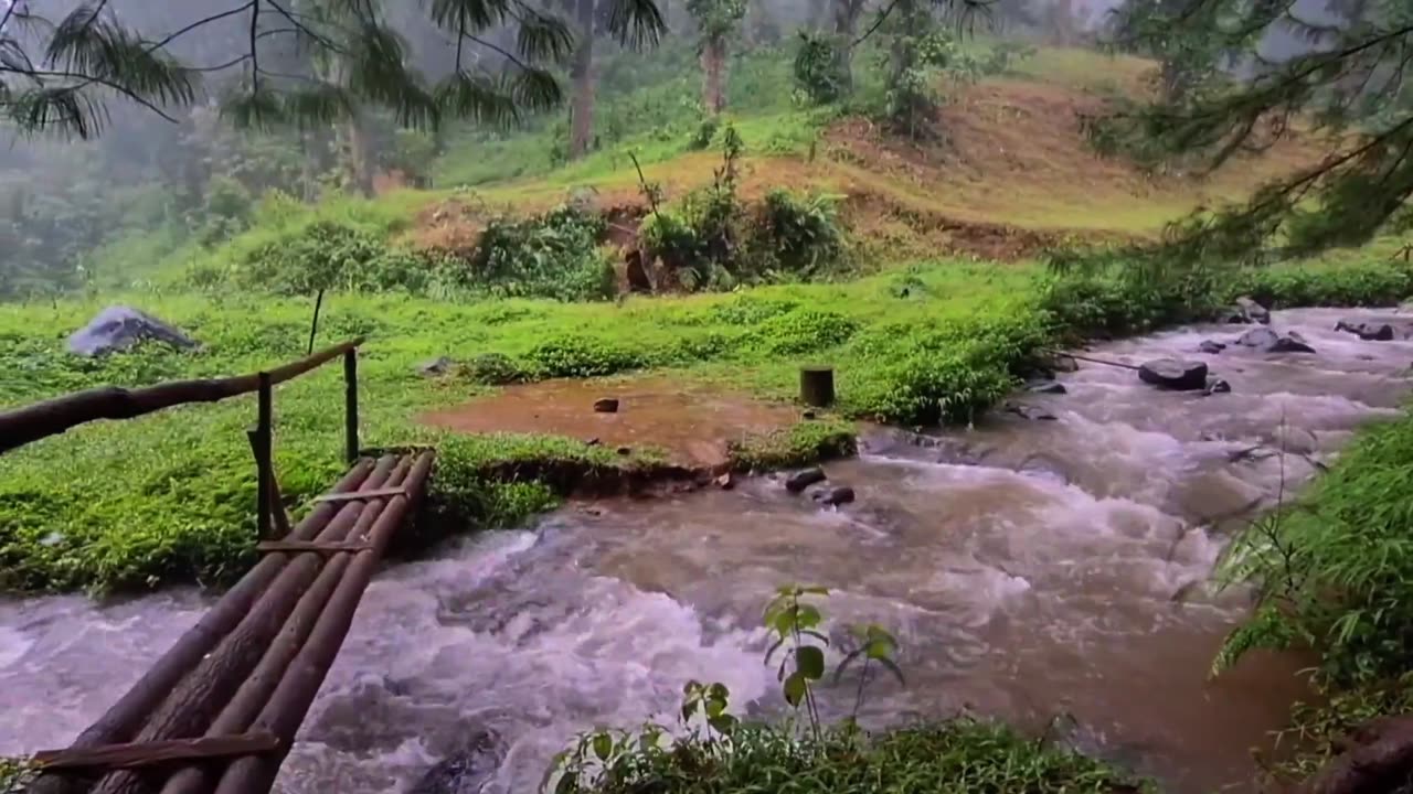 Enjoy Camping in the Heavy Rain in an open place in the Nature Greenery