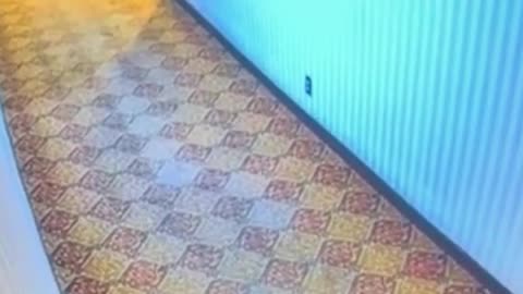 Haunted Hotel Incident Goes Viral 🏨 #Shorts - Slapped Ham Shorts