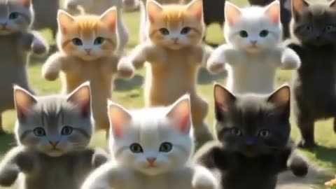 Cat dance video 🐾😹 #shorts #ytshorts