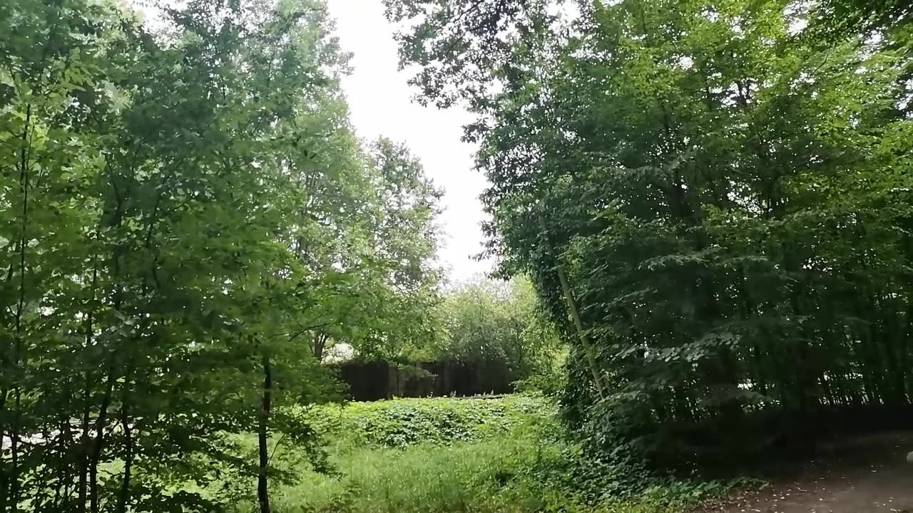 lubię ...