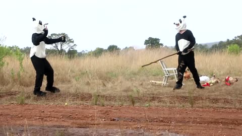 Panda Mating Season