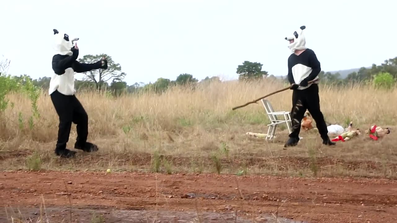 Panda Mating Season