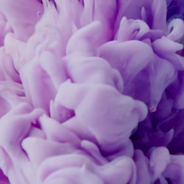 A Lovely Colour of smoke