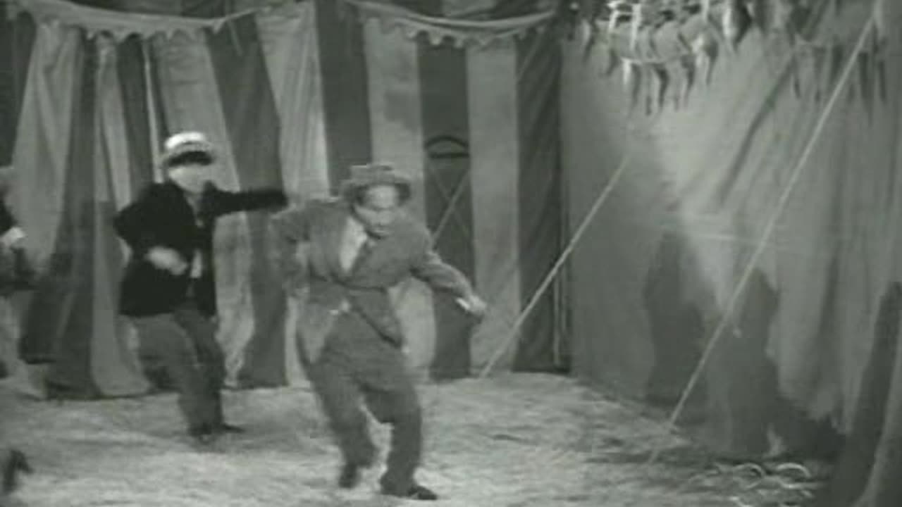 E71. Three Littlt Twirps - Curly Howard Era - 1943