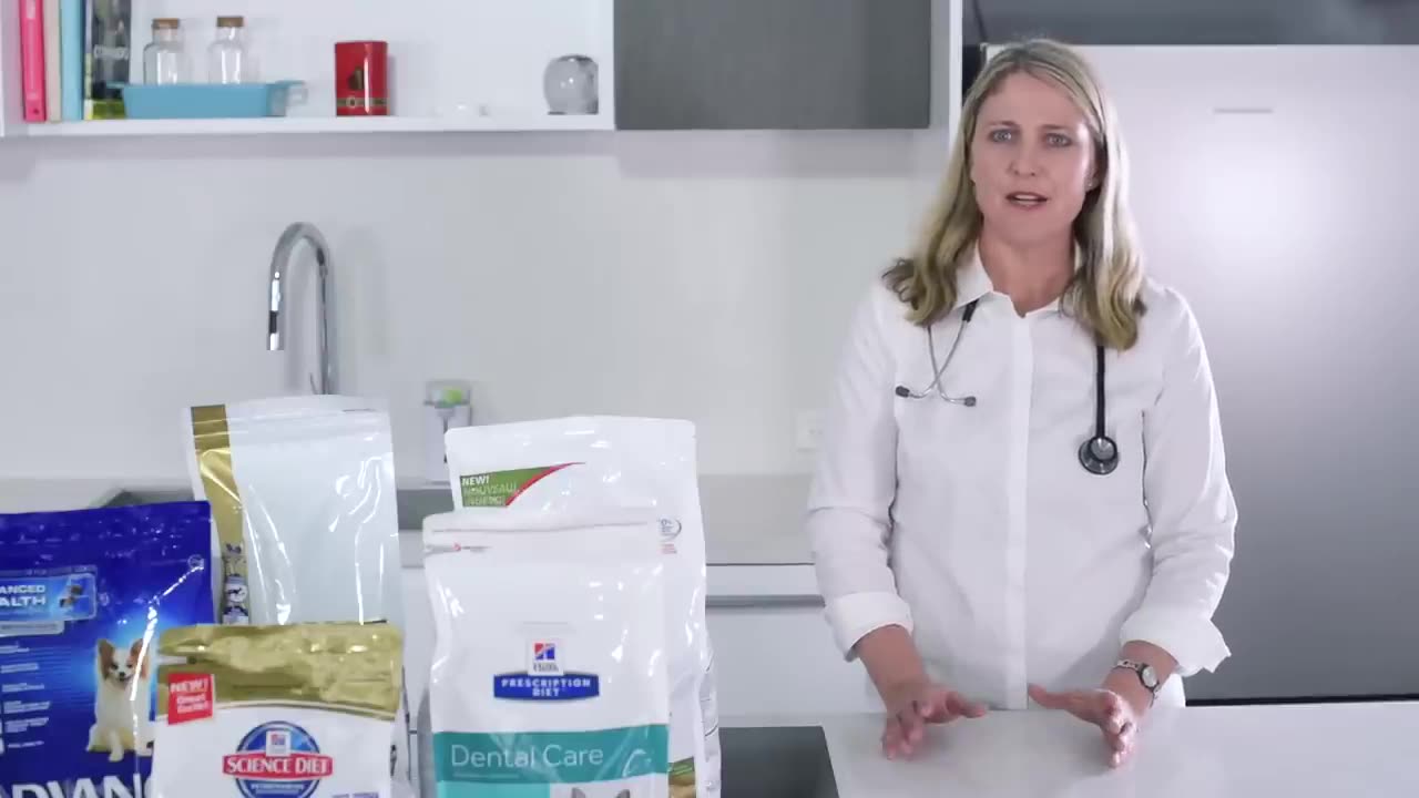 Top Pet Supplies Online Haul