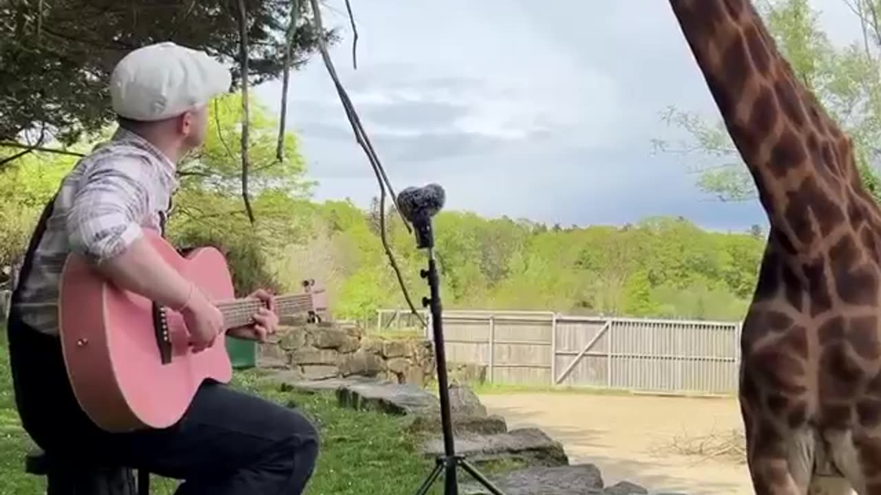 Today I will teach you a lesson