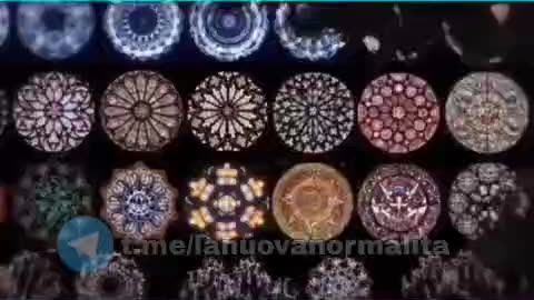 SUSUMU OHNO - DNA e Musica