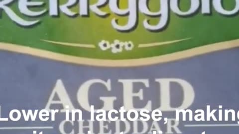 Some Benefits Aged Cheese