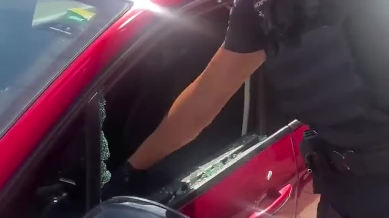 If you leave your pet in a hot vehicle you deserve to have this happen to your car.