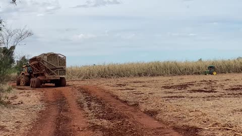 Reasonably Priced Tractor Is Comically Small