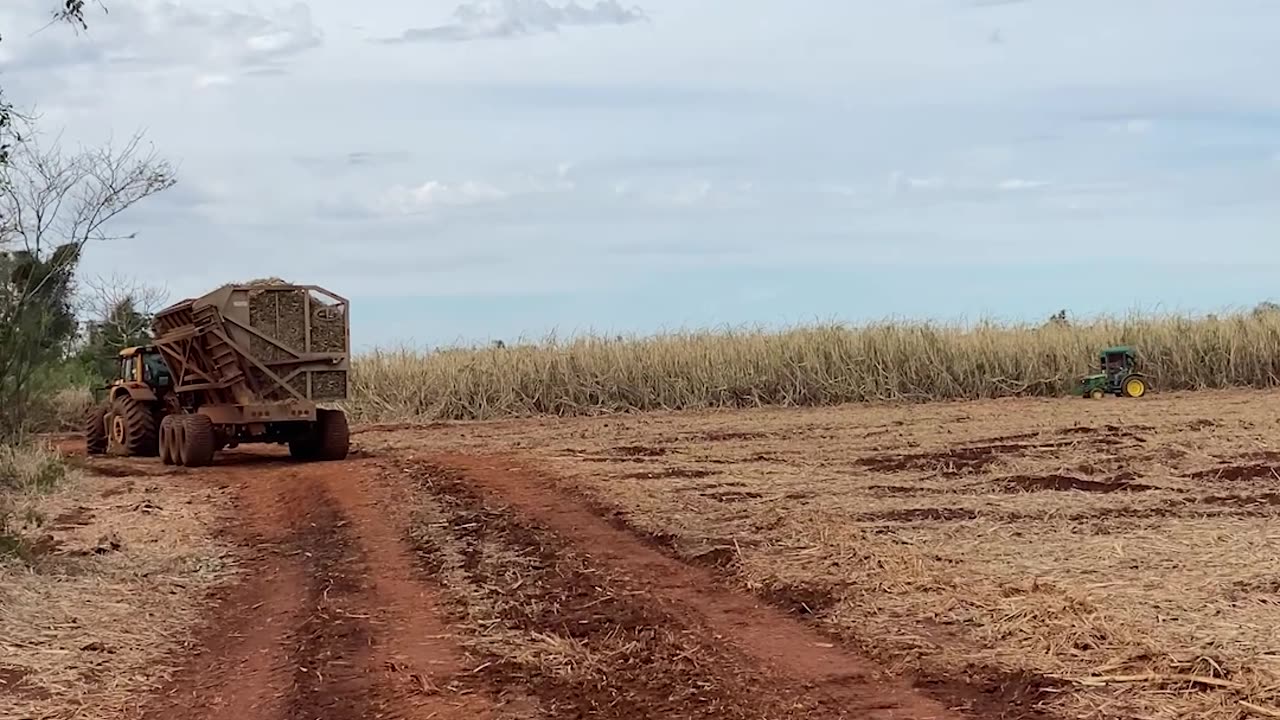 Reasonably Priced Tractor Is Comically Small