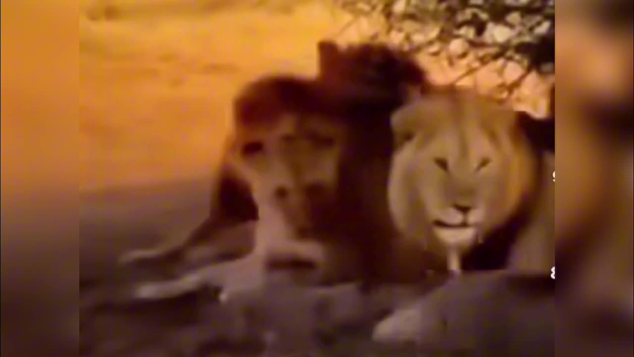 When You Stop Overthinking and Just Go for It 😂