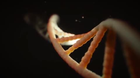 The problem of the DNA HELIX - A Theoretical Model?!