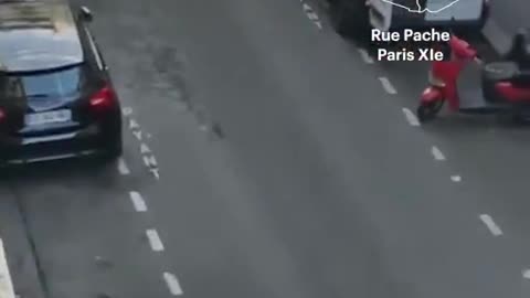 🚨🇫🇷BREAKING 3 hooded African migrants tried to kidnap a European girl for ransom in Paris today.