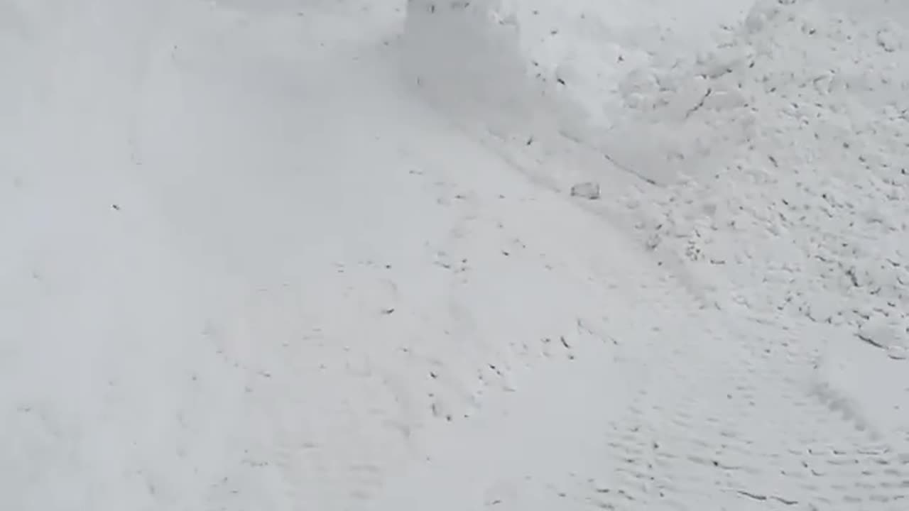 BUFFALO SNOW STORM 2024