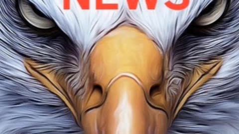 TWC'S PATRIOTS NEWS CHANNEL
