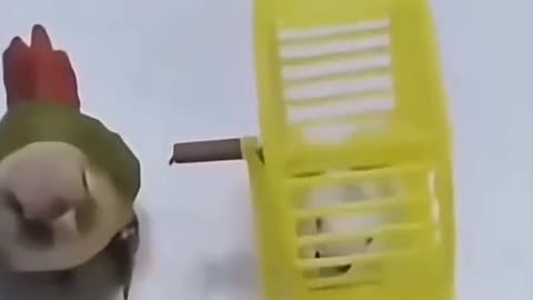 That's how stupidbird interrogates suspects