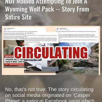 Fact Check: Man Identifying As A "Wolf Furry" NOT Mauled Attempting To Join Wolf Pack -- Satire