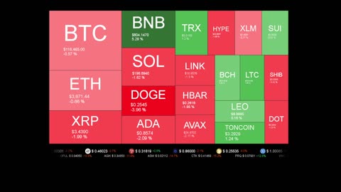 Live Coin Price Watch!
