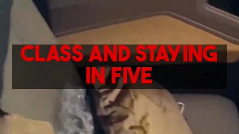 Mighty Travels Premium: Fly Business Class & 5-Star Hotel Best Practices.