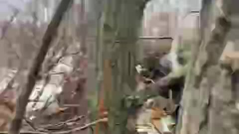 Russian Soldier Returns to Find Entire Camp is Wiped Out