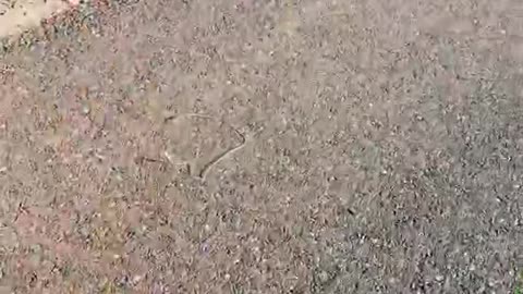 🚘💎 The Most STUNNING Car Interior You'll See! | LuxurySportsCars