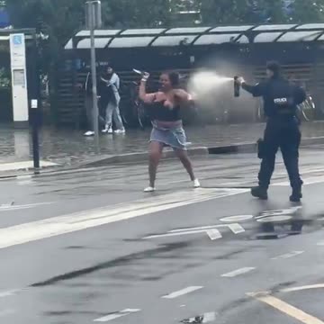 Diversity stabby French pigs