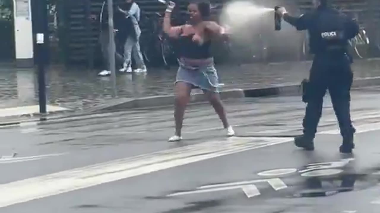 Diversity stabby French pigs