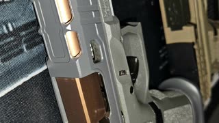 Palmetto State Armory Dagger Compact - AWESOME!!!