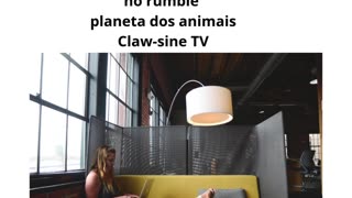 meus canal de animais no youtube (1).mp4