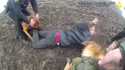 Kenosha shooting suspect arrested after he is nabbed by two K9's in a dirt field