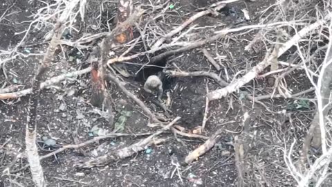 ☠️🐷36665 Khryak decided to test a Czech rifle.